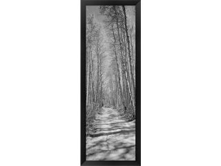 Trees along a road, Log Cabin Gold Mine, Eastern Sierra, Californian Sierra Nevada, California, USA by Panoramic Images Framed Art, Size 14 X 38