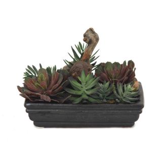 Black Container Mixed Silk Succulents Plant  ™ Shopping