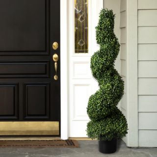 Green Boxwood Topiary in Pot by Romano