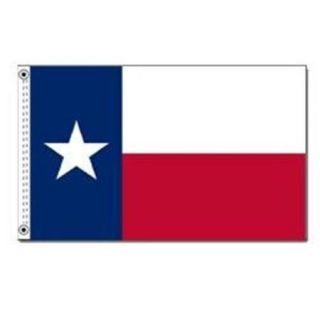 Annin Flagmakers 145248WE 12 inch X 18 inch Nyl Glo Texas Flag