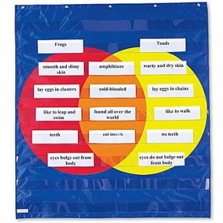 Learning Resources 39 x 35 1/2 Graphic Organizer Pocket Chart