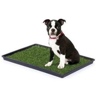Prevue Hendryx PP 500 Tinkle Turf   Small