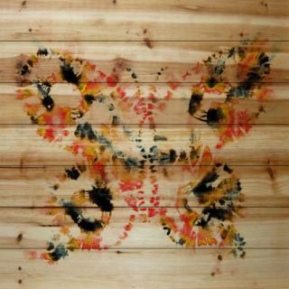 Painted Butterfly Wall Art on Natural Pine Wood