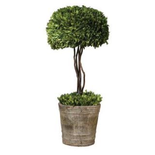 Home Decorators Collection 33 in. Preserved Boxwood Tree Topiary 2246510680